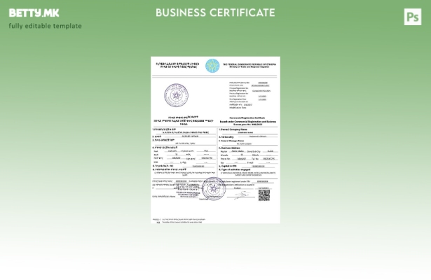 Модерен стил Етиопија комерцијален сертификат за регистрација Шаблон за Word и P